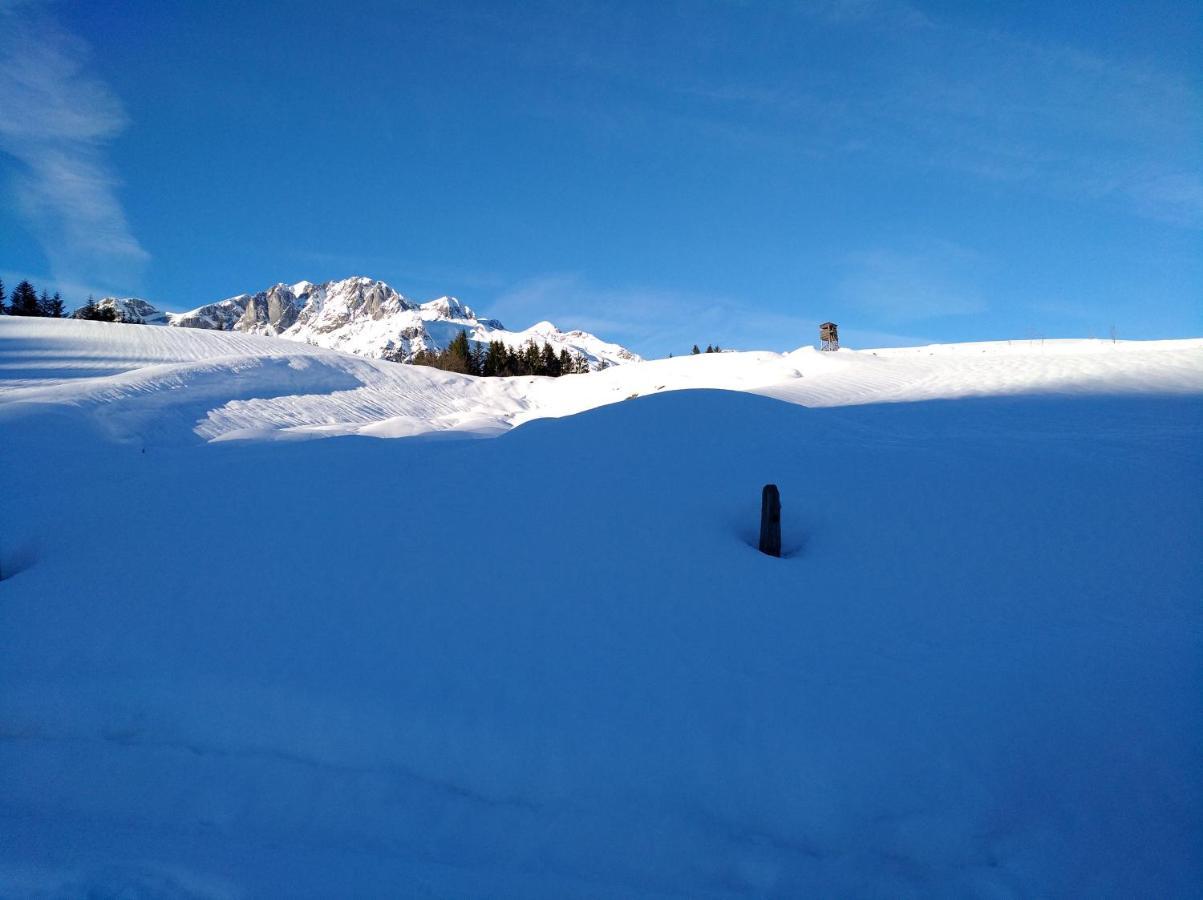 Appartements Haus Bergland Sankt Martin am Tennengebirge Kültér fotó